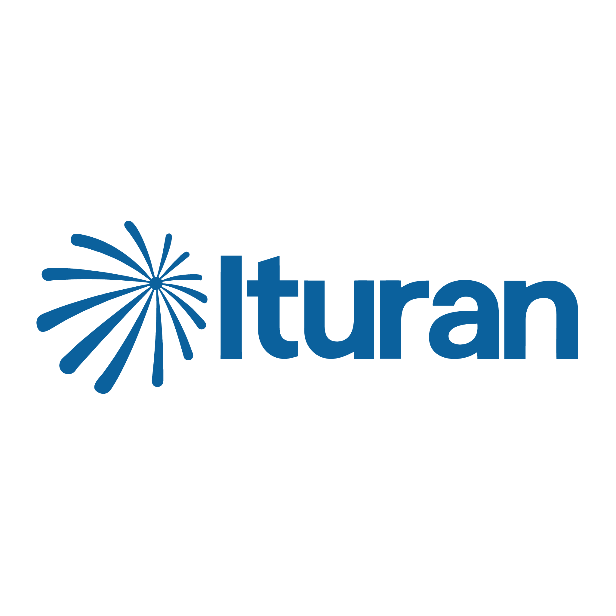 logo-ituran-2048